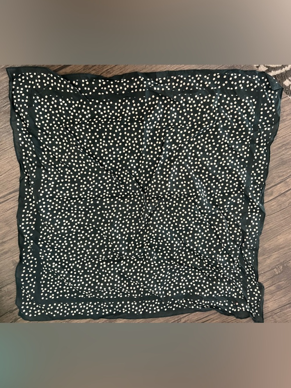 White Polka Dot / Navy Blue Scarf (NWOT)